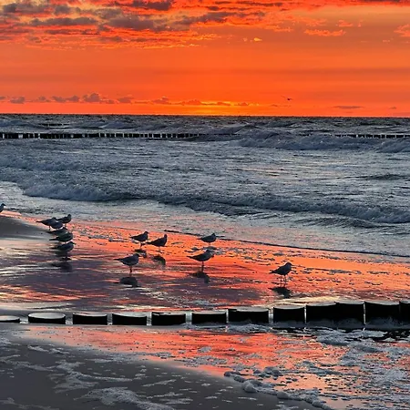 Mushellka - Horizon Park , 2 Sypialnie I Salon * Dziwnówek