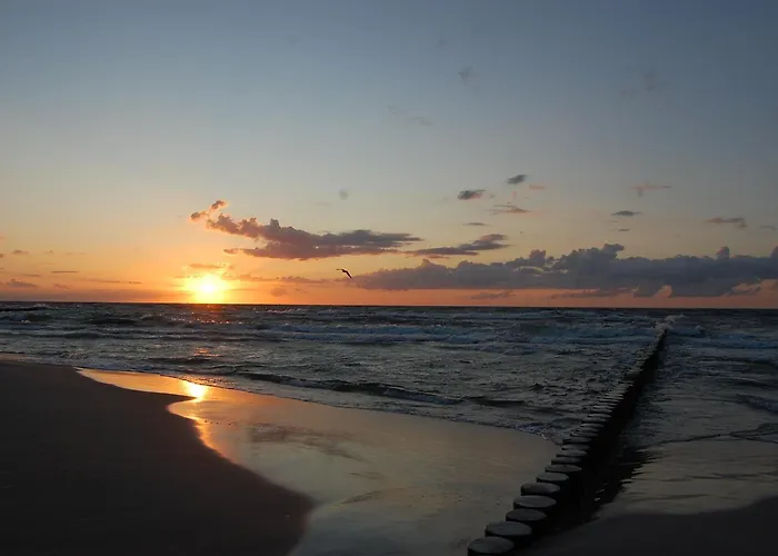 Apartament Mushellka - Horizon Park , 2 Sypialnie I Salon Dziwnówek