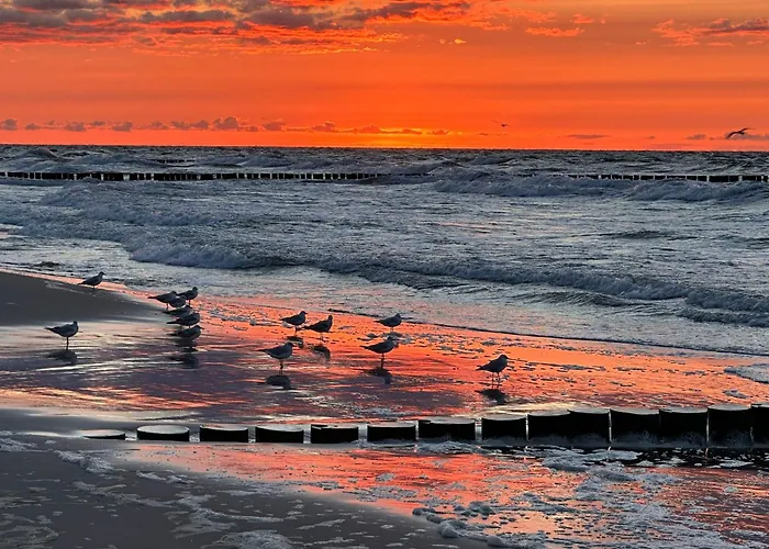 Mushellka - Horizon Park , 2 Sypialnie I Salon * Dziwnówek